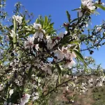 לינה וארוחת בוקר Sol Y Monte