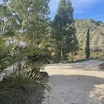 Sol Y Monte אלורה