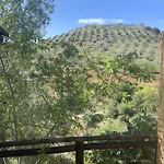 Sol Y Monte לינה וארוחת בוקר אלורה