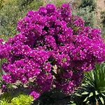 לינה וארוחת בוקר Sol Y Monte 4*