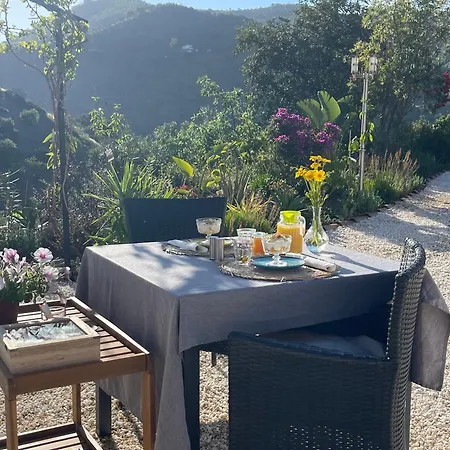 Sol Y Monte Bed & Breakfast Alora