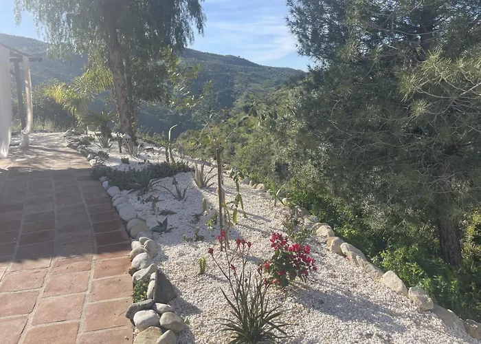 Sol Y Monte