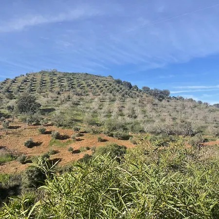 Sol Y Monte Frühstückspension Alora
