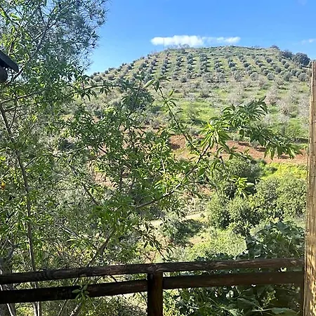 Sol Y Monte Bed and Breakfast Alora