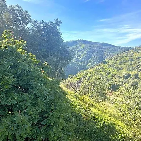 Sol Y Monte