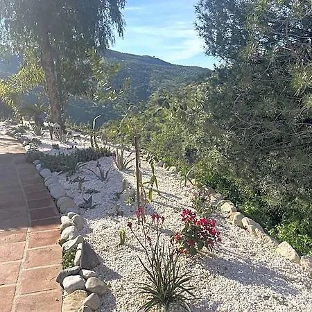 Sol Y Monte