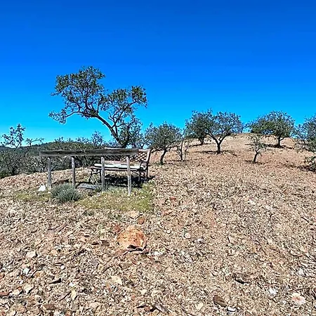 Sol Y Monte Oda ve Kahvaltı